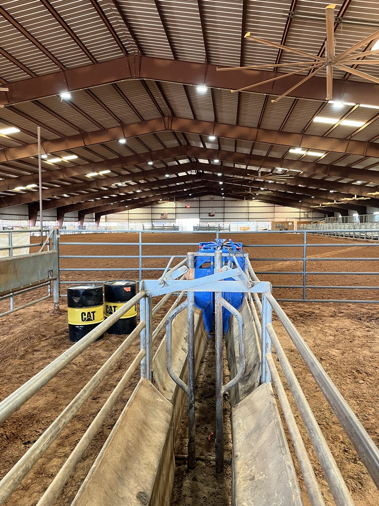 rodeo-association-websites-5874