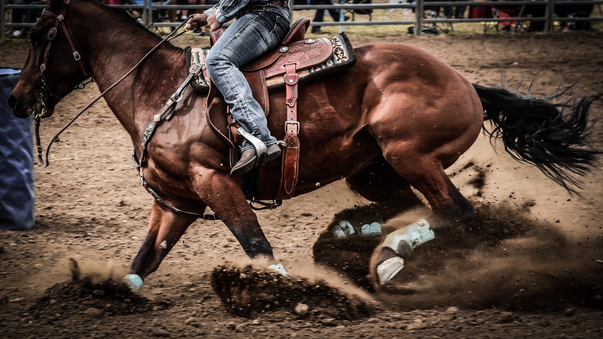 rodeo-producer-bg